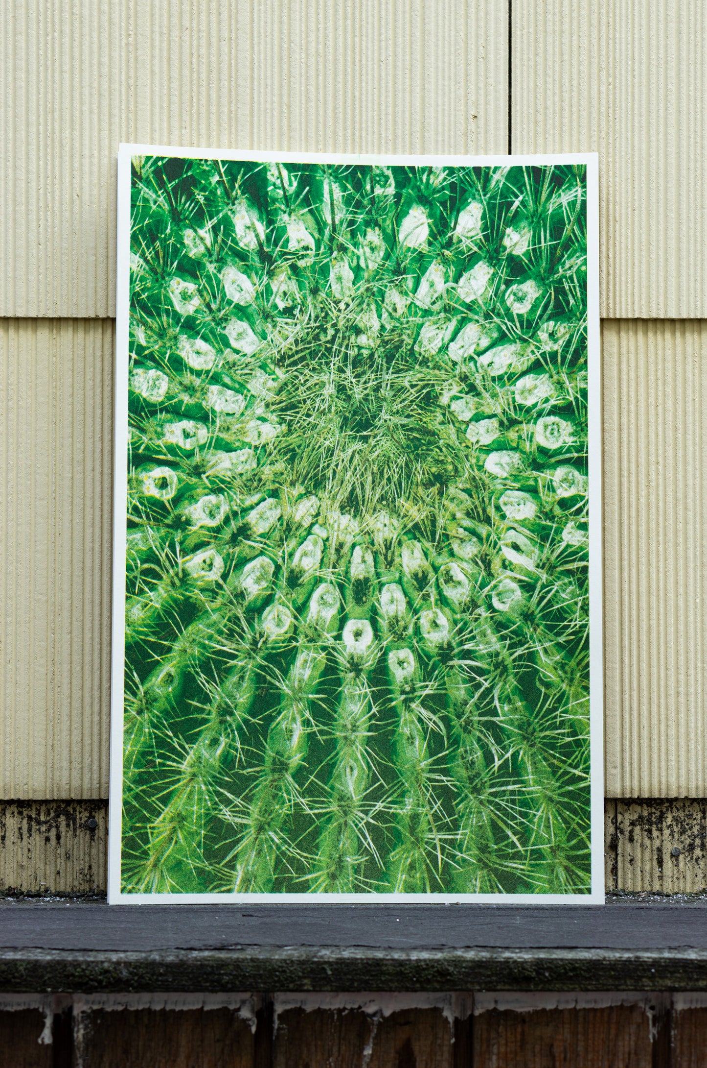 Cactus Spiral (Risograph Print)