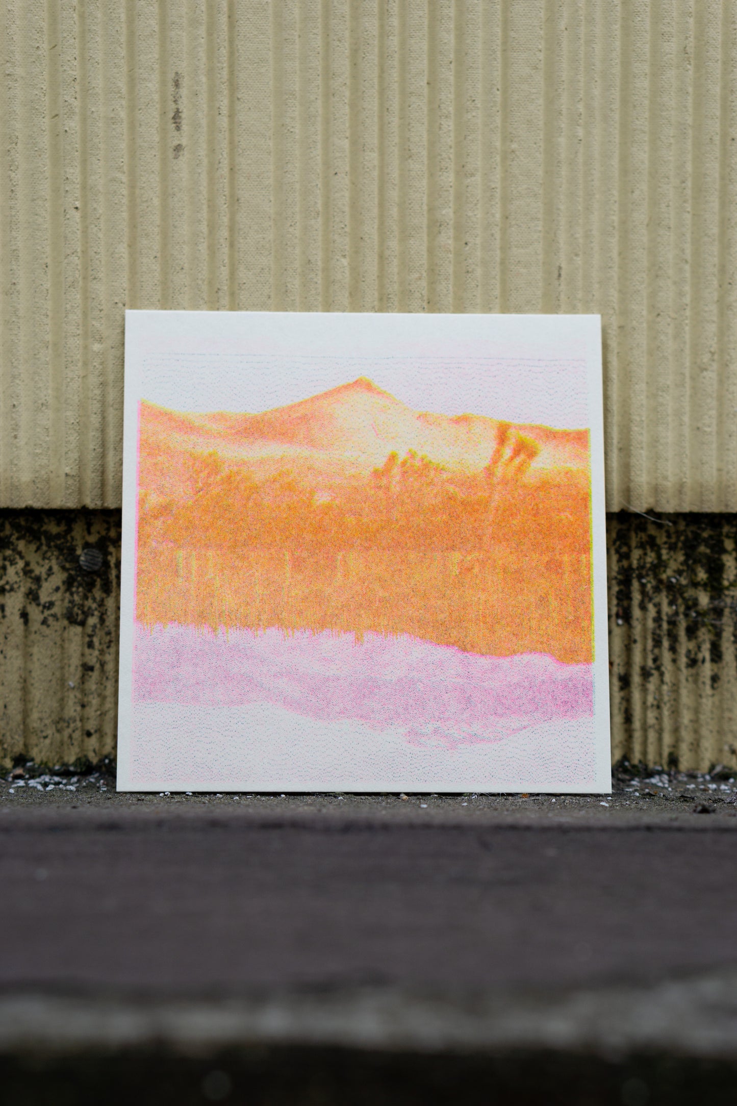 Landscape (Risograph Print)