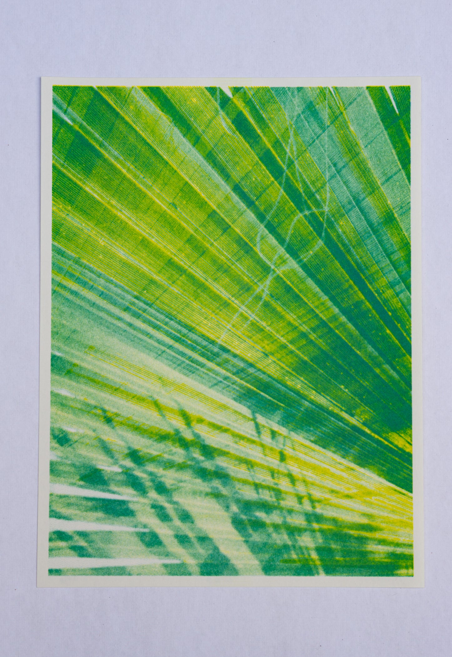 Palm (Risograph Print)